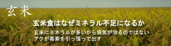 ���ĐH�͂Ȃ��~�l�����s���ɂȂ�̂�