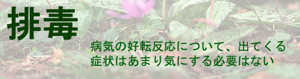 �a�C�̍D�]�����ɂ��āA�o�Ă���Ǐ�͂��܂�C�ɂ���K�v�͂Ȃ�