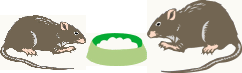 �˂���