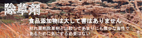 �H�i�Y�����͑債�ĊQ�͂���܂���