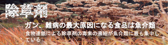 �K���A��a�̍ő匴���ɂȂ�H�i�͋���ނł���